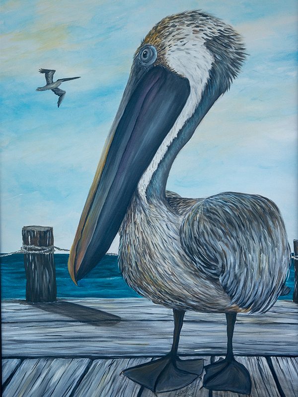 Robbie the Pelican